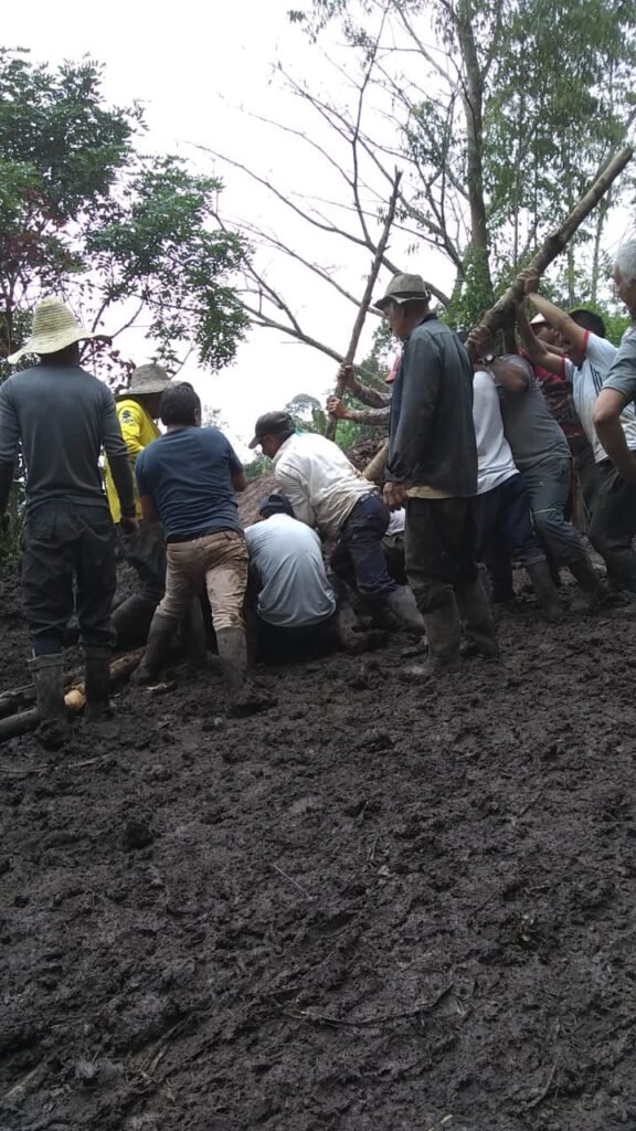 Moradores de La Regadera habilitaron vía de acceso mediante una minga | Noticias de Buenaventura, Colombia y el Mundo