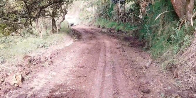 Carretera rural