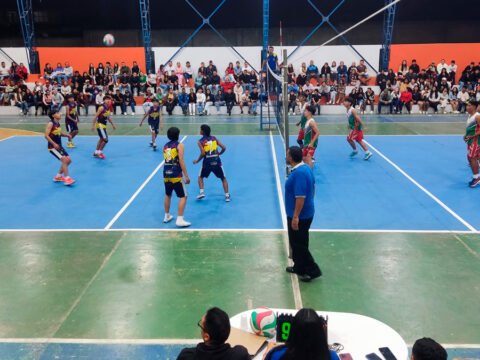 Partido de voleibol