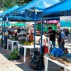 Mercado campesino en Sandoná