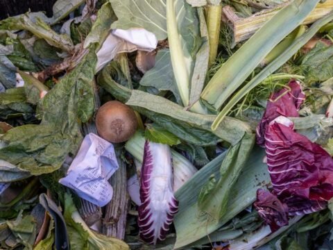 desperdicio de alimentos