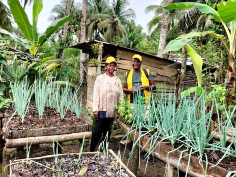 Día de la afrocolombianidad