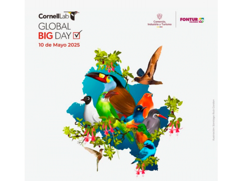 Nariño participará en el Global Big Day