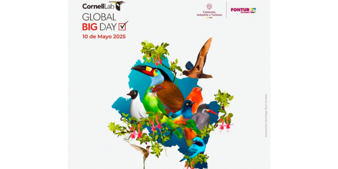 Nariño participará en el Global Big Day