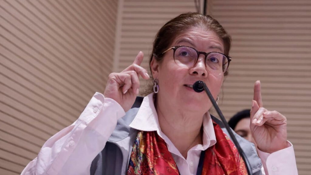 Alejandra Barrios, directora de la Misión de Observación Electoral
