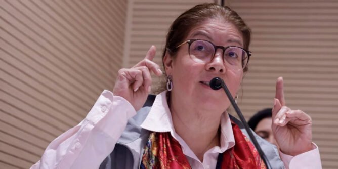 Alejandra Barrios, directora de la Misión de Observación Electoral
