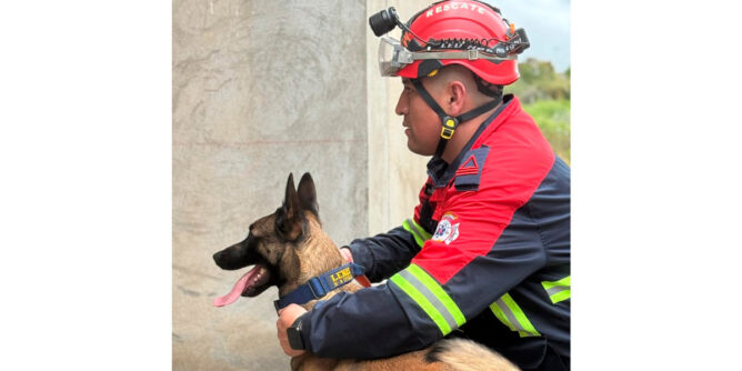 Protección de animales en Nariño