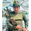 Rescataron un mapache en Tumaco