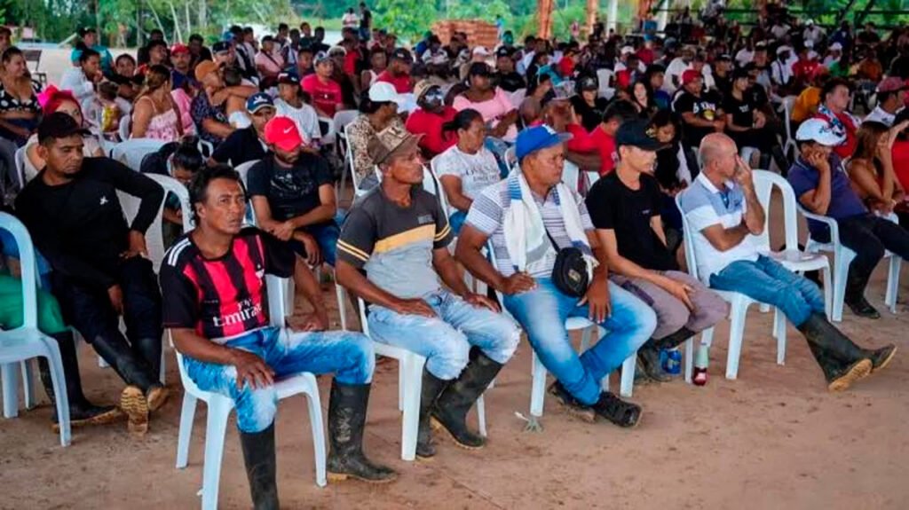 Acuerdo para sustituir cultivos en Tumaco y Roberto Payán