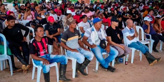 Acuerdo para sustituir cultivos en Tumaco y Roberto Payán