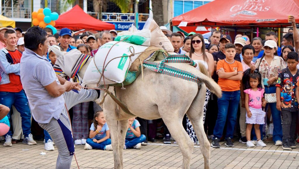 Concurso de carga en el día del campesino sandoneño