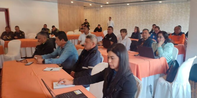 Comité departamental de seguridad vial