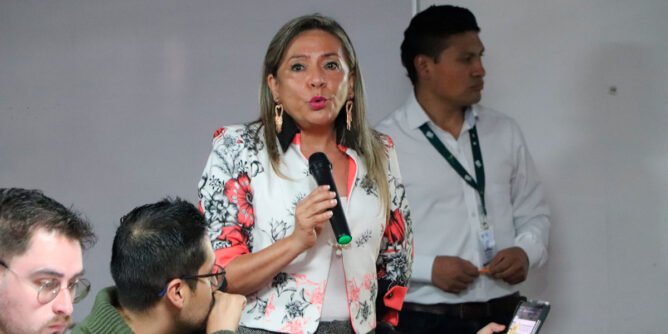 Directora del IDSN, Ana Belén Arteaga Torres