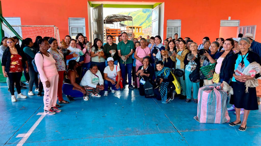 Entrega de gallinas a familias campesinas de Sandoná