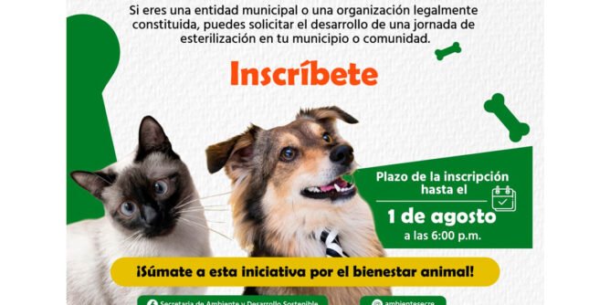 Jornada de esterilización de animales en Nariño