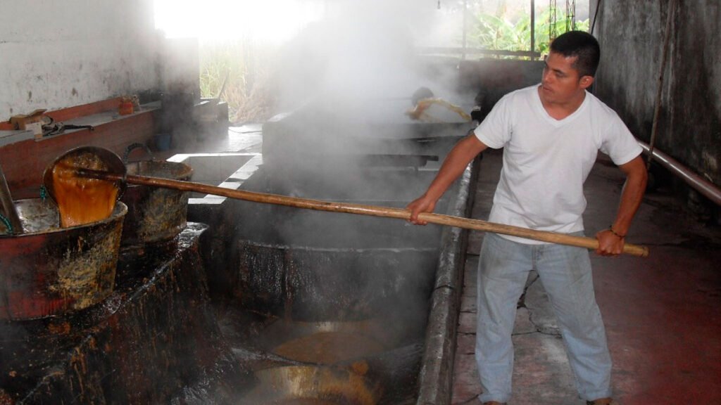 Producción de panela en Sandoná
