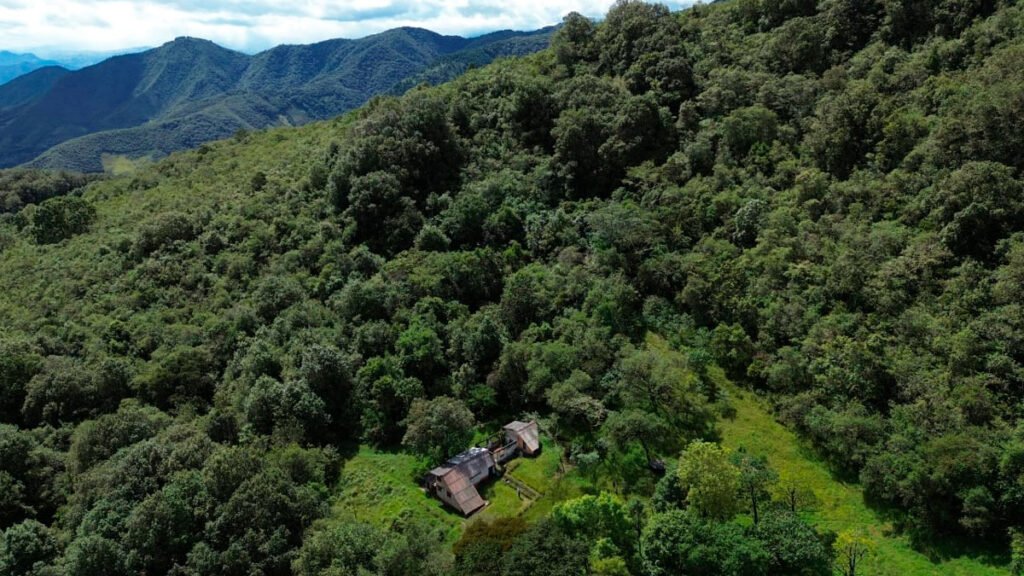 Restauración de bosques en Chachagüí, Nariño