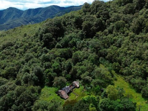 Restauración de bosques en Chachagüí, Nariño