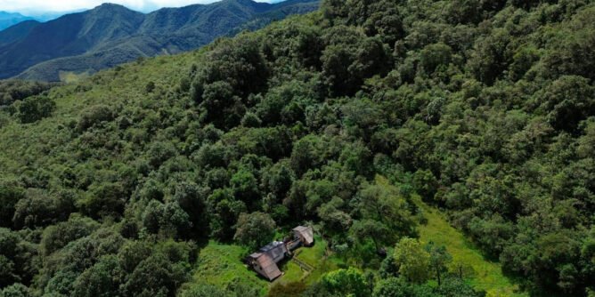 Restauración de bosques en Chachagüí, Nariño