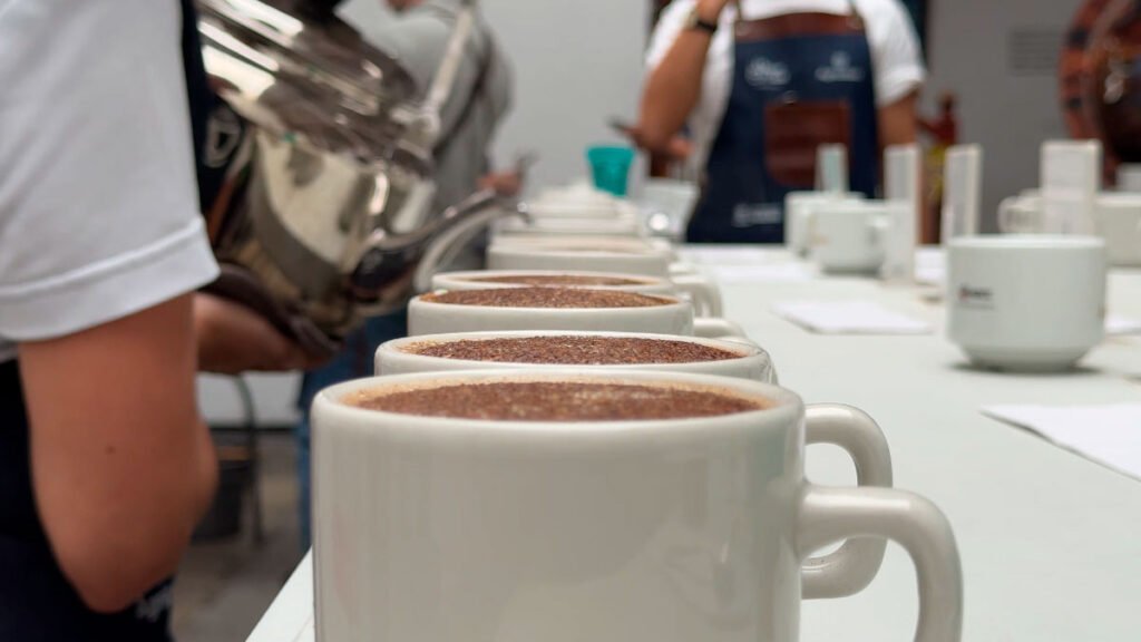 Concurso mejor taza de café