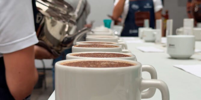 Concurso mejor taza de café