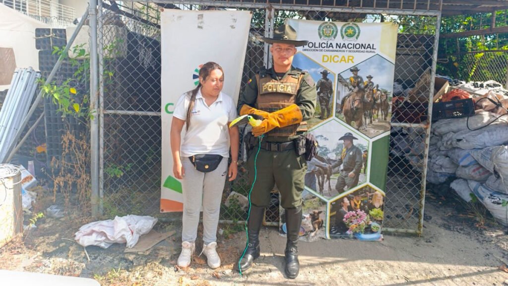 Policía rescata un tucán en Tumaco