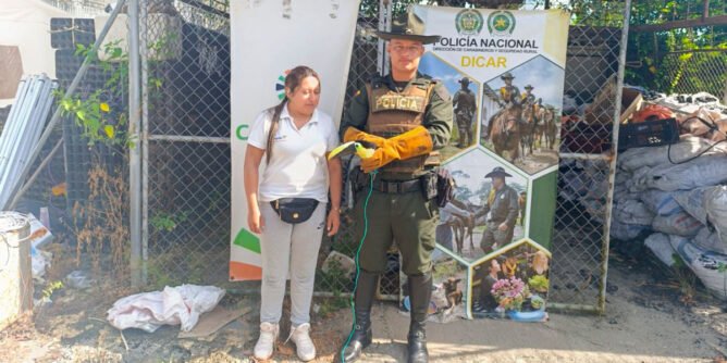 Policía rescata un tucán en Tumaco