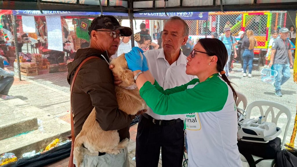 Cuidado de animales en Nariño