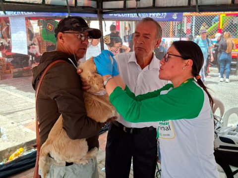 Cuidado de animales en Nariño