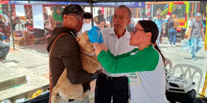 Cuidado de animales en Nariño