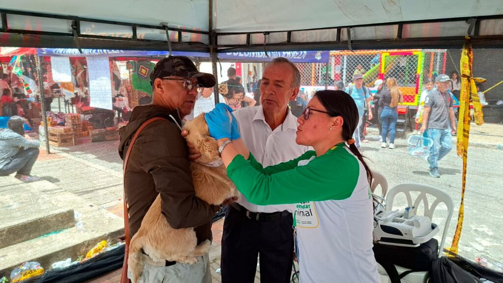 Jornada de bienestar animal en Buesaco