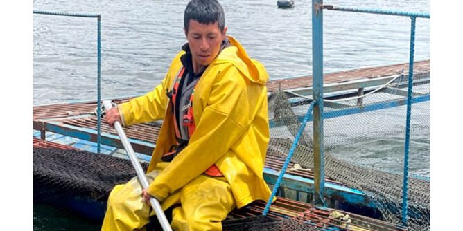 Pescador de trucha en La Cocha