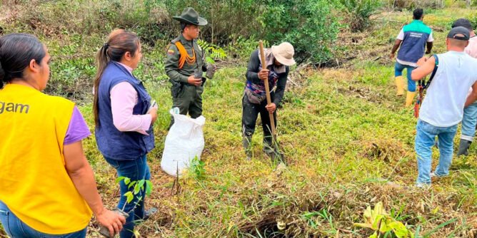 Siembra de árboles en Tumaco