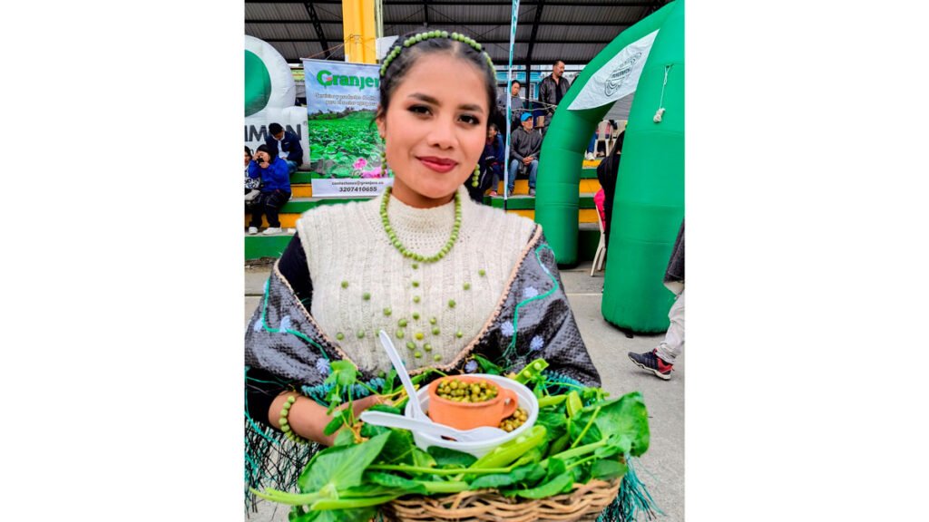 Nariño celebra el Día Nacional de la Arveja y consolida su liderazgo como principal productor del país