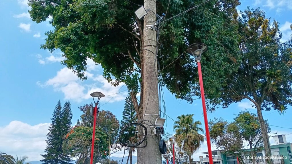 Árboles en el parque principal de Sandoná