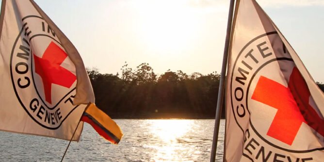 Comité Internacional de la Cruz Roja