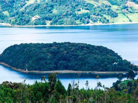 La Corota en La Cocha