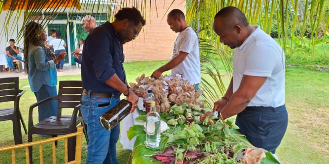 Saberes ancestrales afrodescendientes