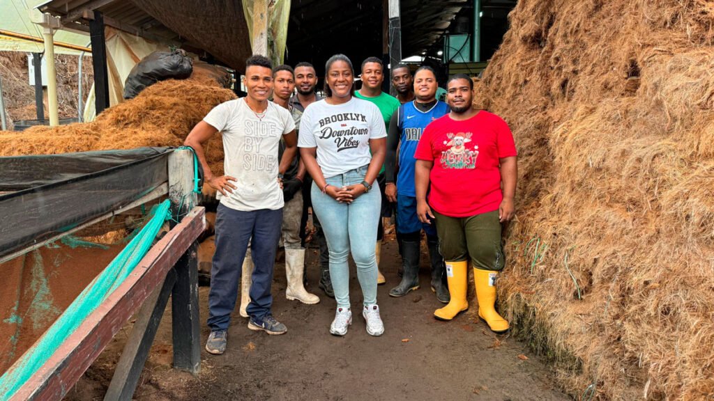 Transformación de la estopa del coco