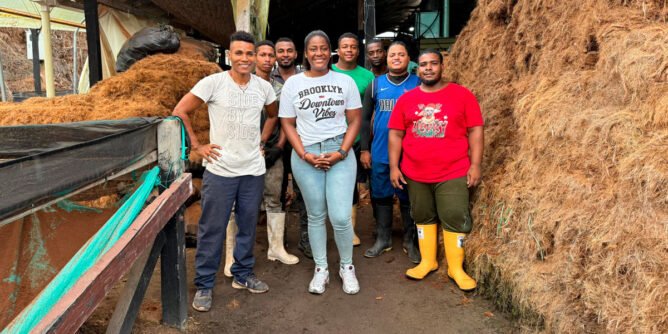 Transformación de la estopa del coco