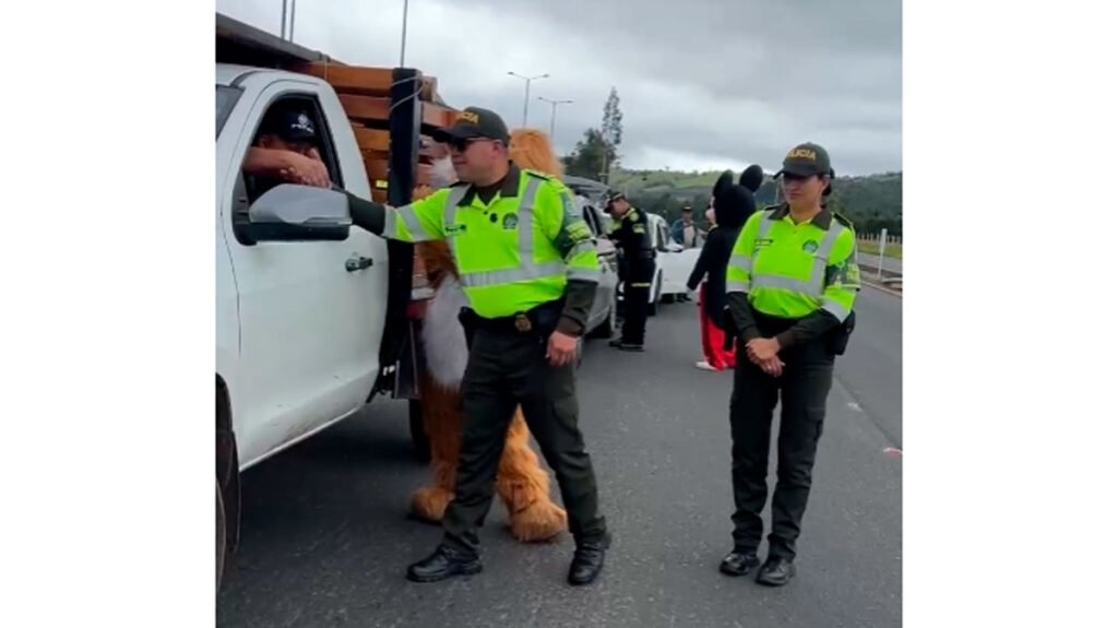 Controles de tránsito en la vía