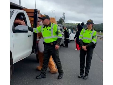 Controles de tránsito en la vía