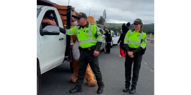 Controles de tránsito en la vía