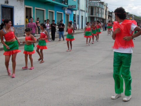 Desfile del 5 de enero de 2011