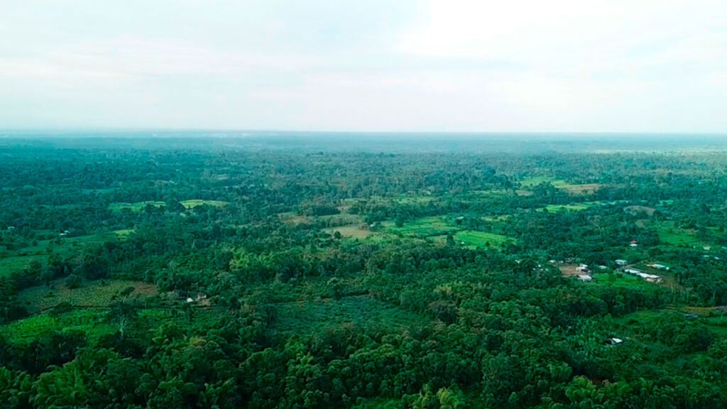 Panorámica de Inda Zabaleta, Tumaco