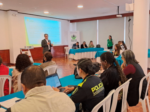 Comité departamental para disminuir lesionados con pólvora