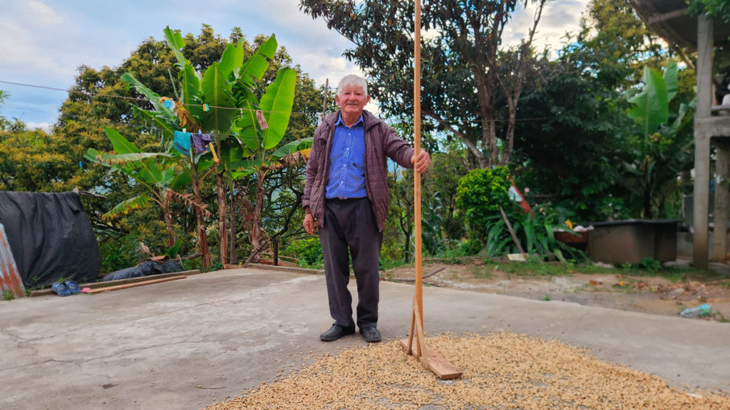 Secado de café en Arboleda