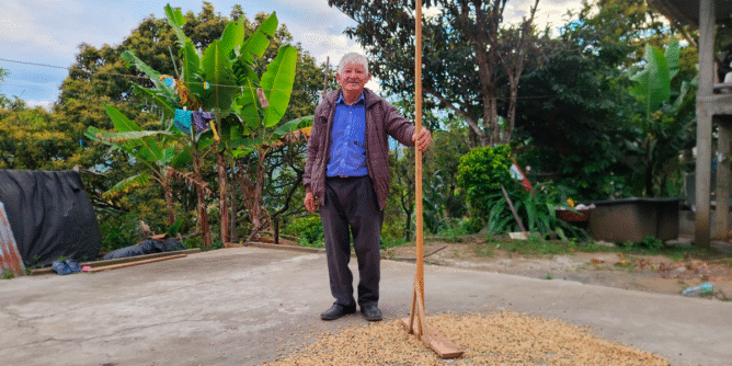 Secado de café en Arboleda