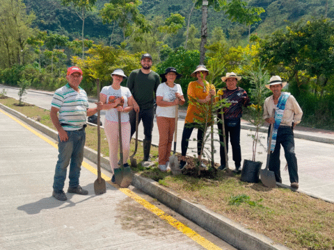 Siembra de árboles en la Avenida Centenario