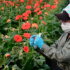 Trabajadora de flores